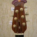 Cat Stevens Ovation 02