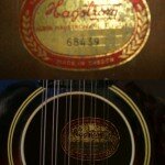 David Bowie Hagstrom 5