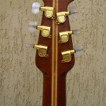 Cat Stevens Ovation 05